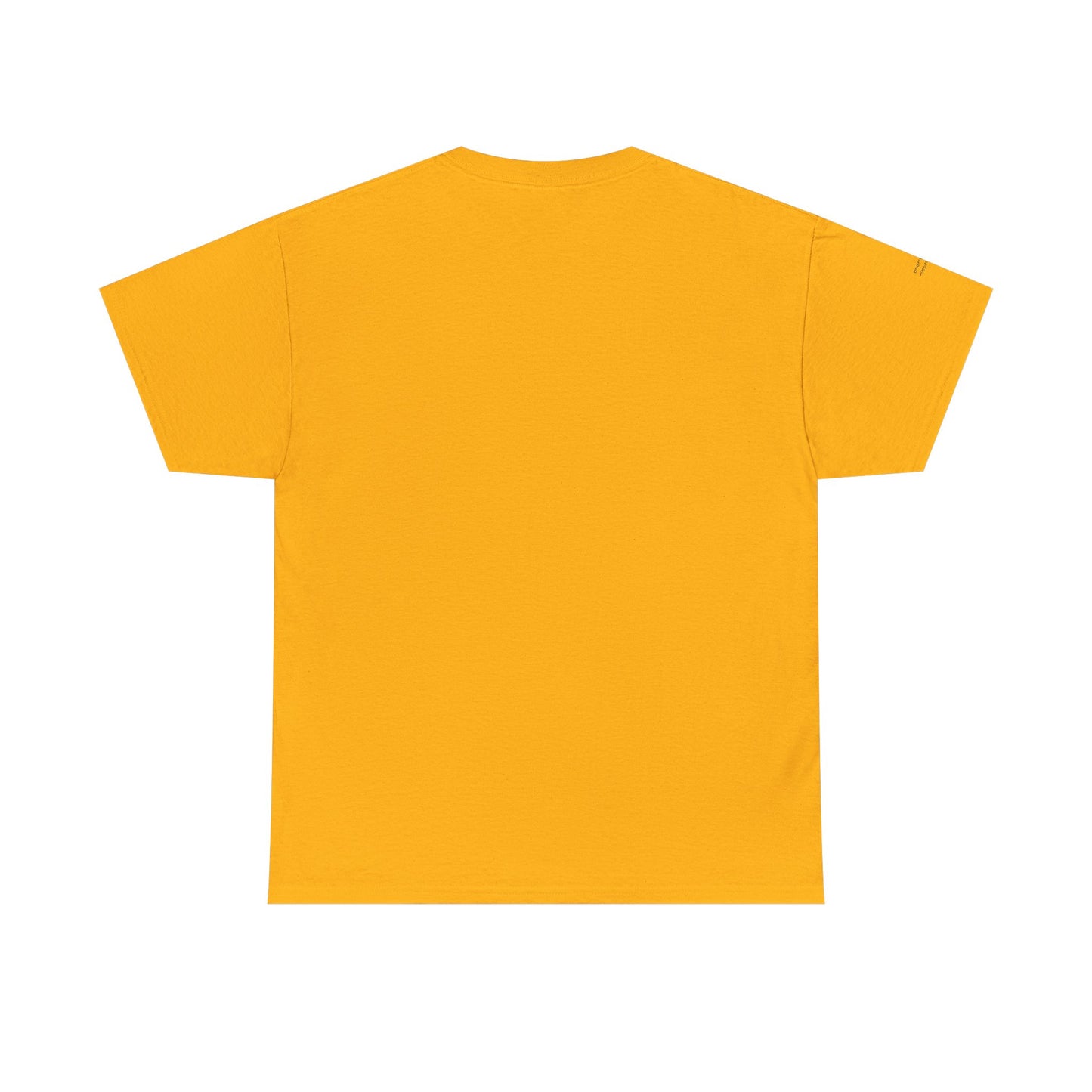 "Messy Middle, Beautiful Outcome" Professional T-Shirt - Safer Steps Recovery & Growth Collection