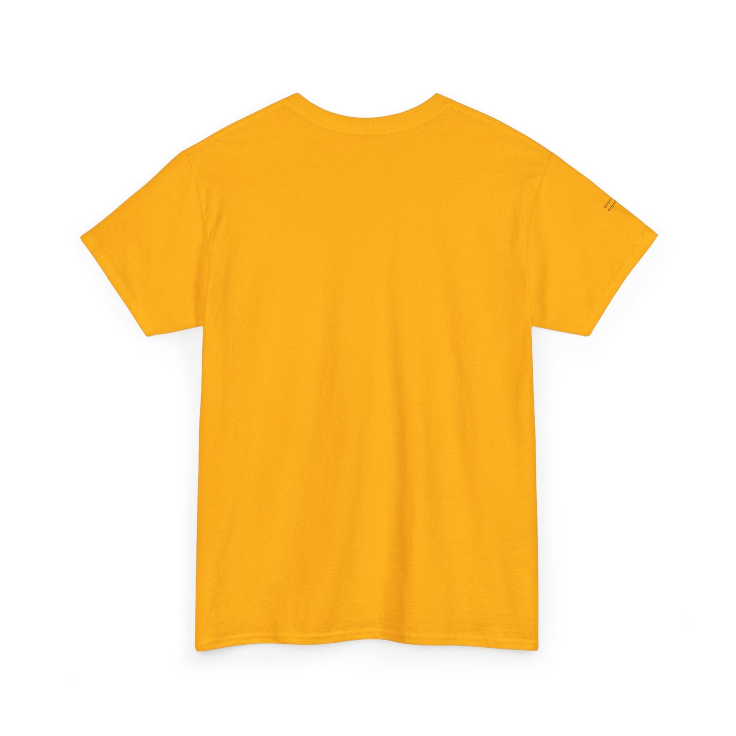 "Messy Middle, Beautiful Outcome" Professional T-Shirt - Safer Steps Recovery & Growth Collection