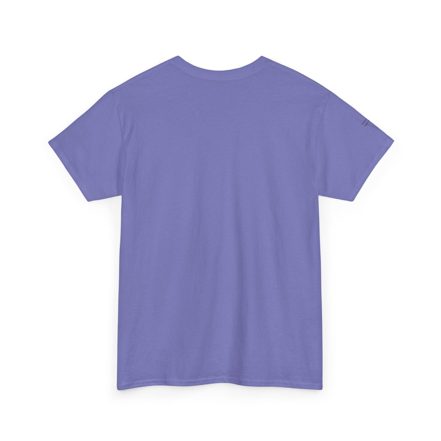 "Messy Middle, Beautiful Outcome" Professional T-Shirt - Safer Steps Recovery & Growth Collection