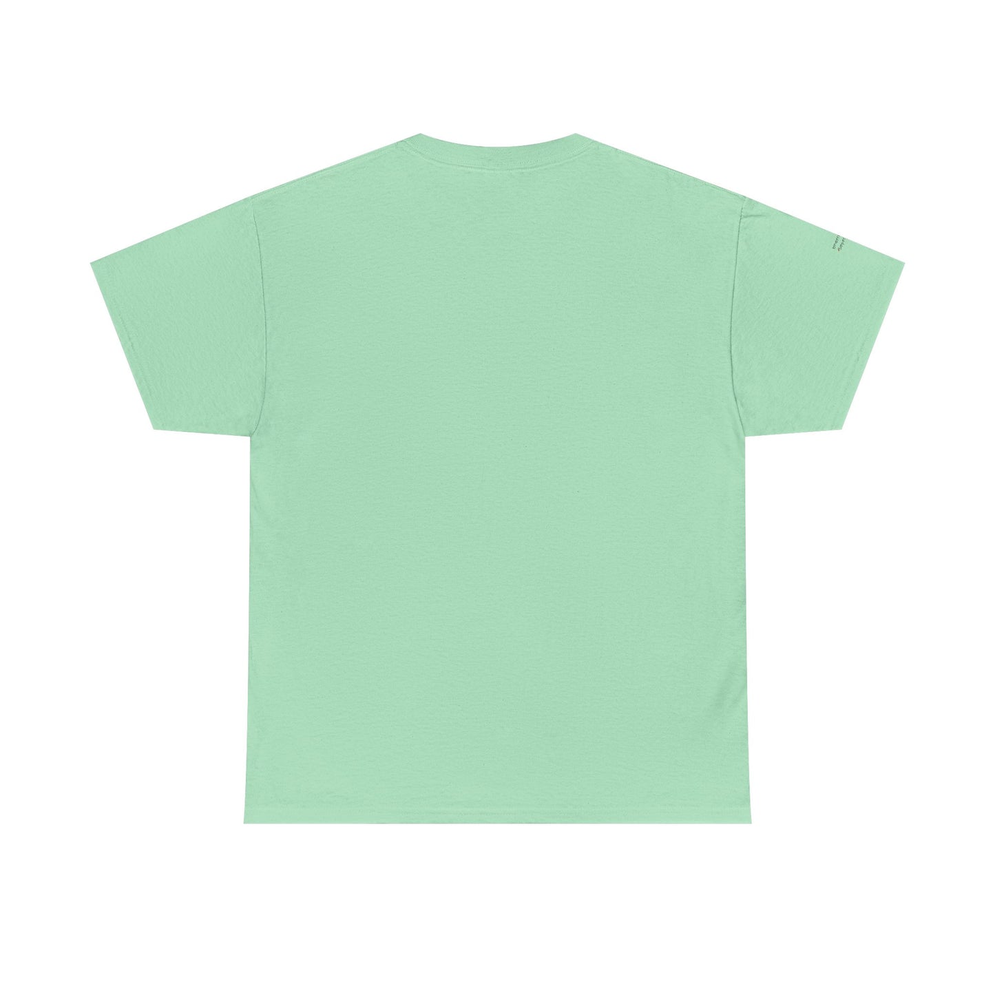 "Messy Middle, Beautiful Outcome" Professional T-Shirt - Safer Steps Recovery & Growth Collection