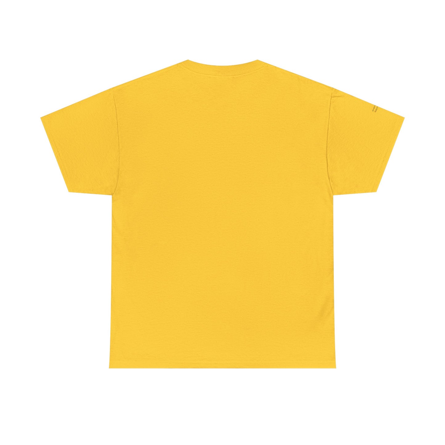 "Messy Middle, Beautiful Outcome" Professional T-Shirt - Safer Steps Recovery & Growth Collection