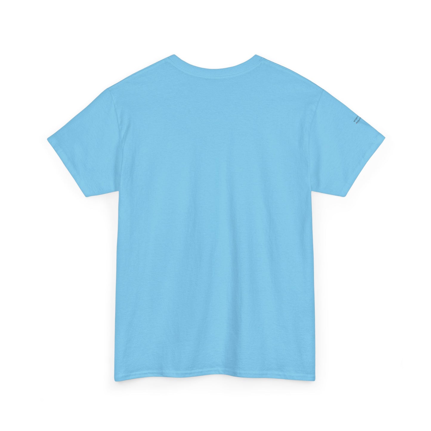 "Messy Middle, Beautiful Outcome" Professional T-Shirt - Safer Steps Recovery & Growth Collection