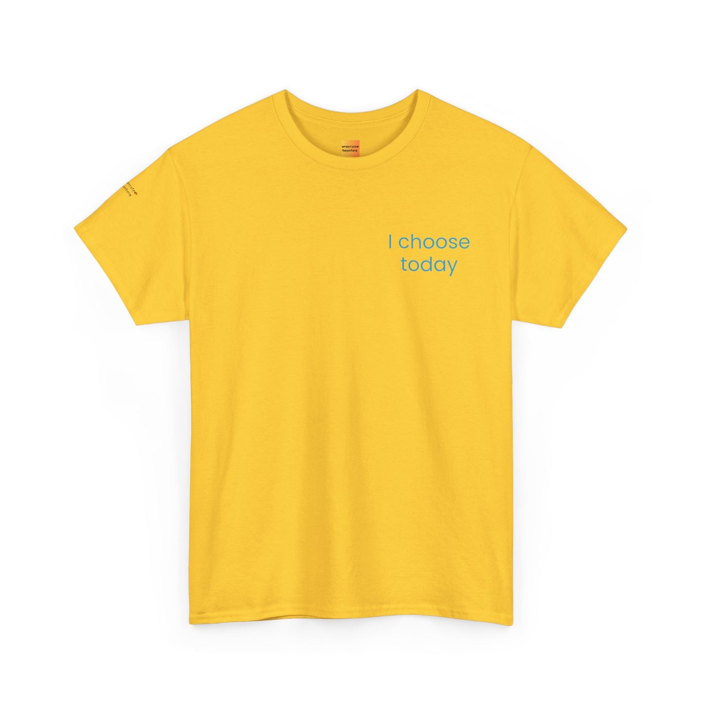 "I Choose Today" Recovery & Growth T-Shirt - First Steps Collection