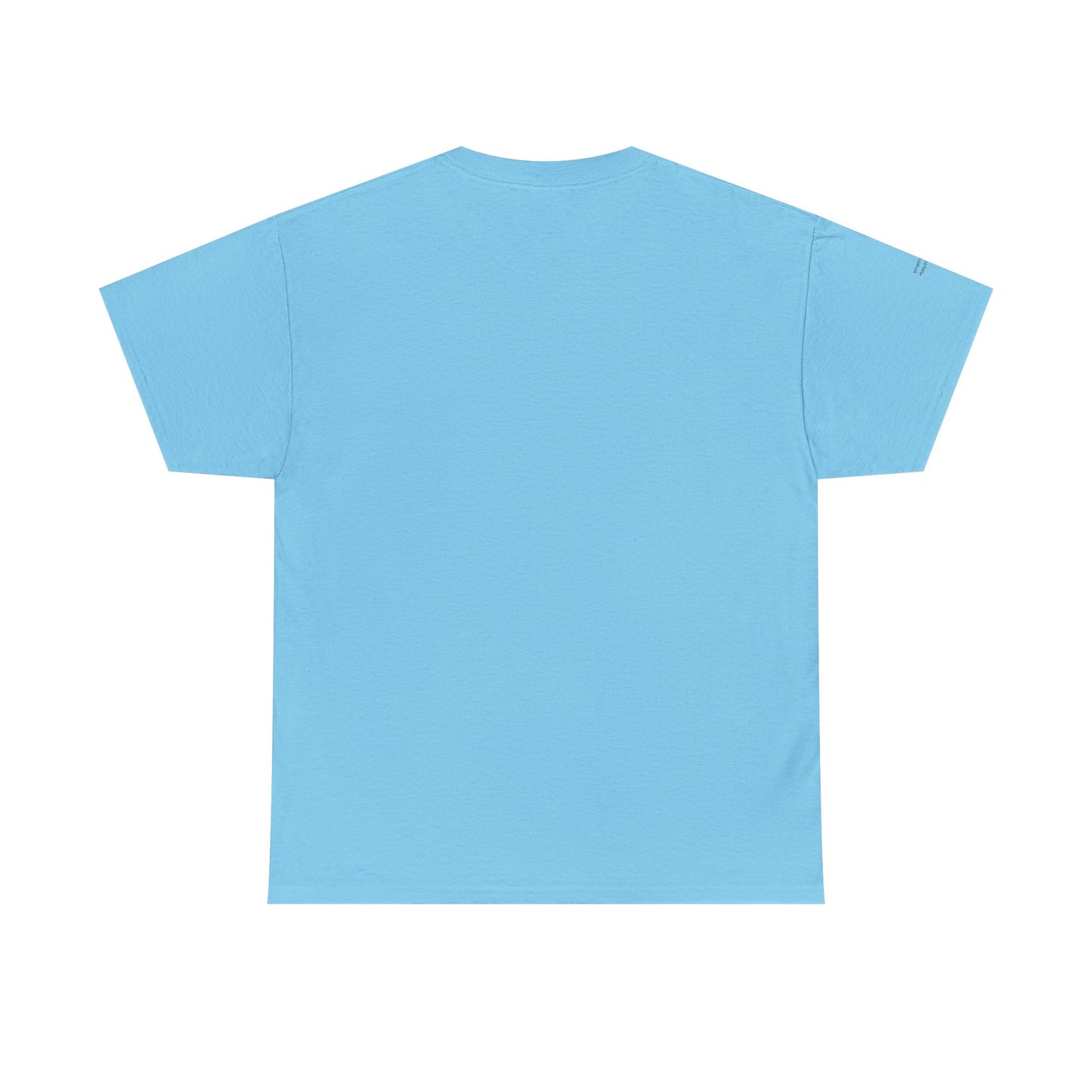 "Messy Middle, Beautiful Outcome" Professional T-Shirt - Safer Steps Recovery & Growth Collection