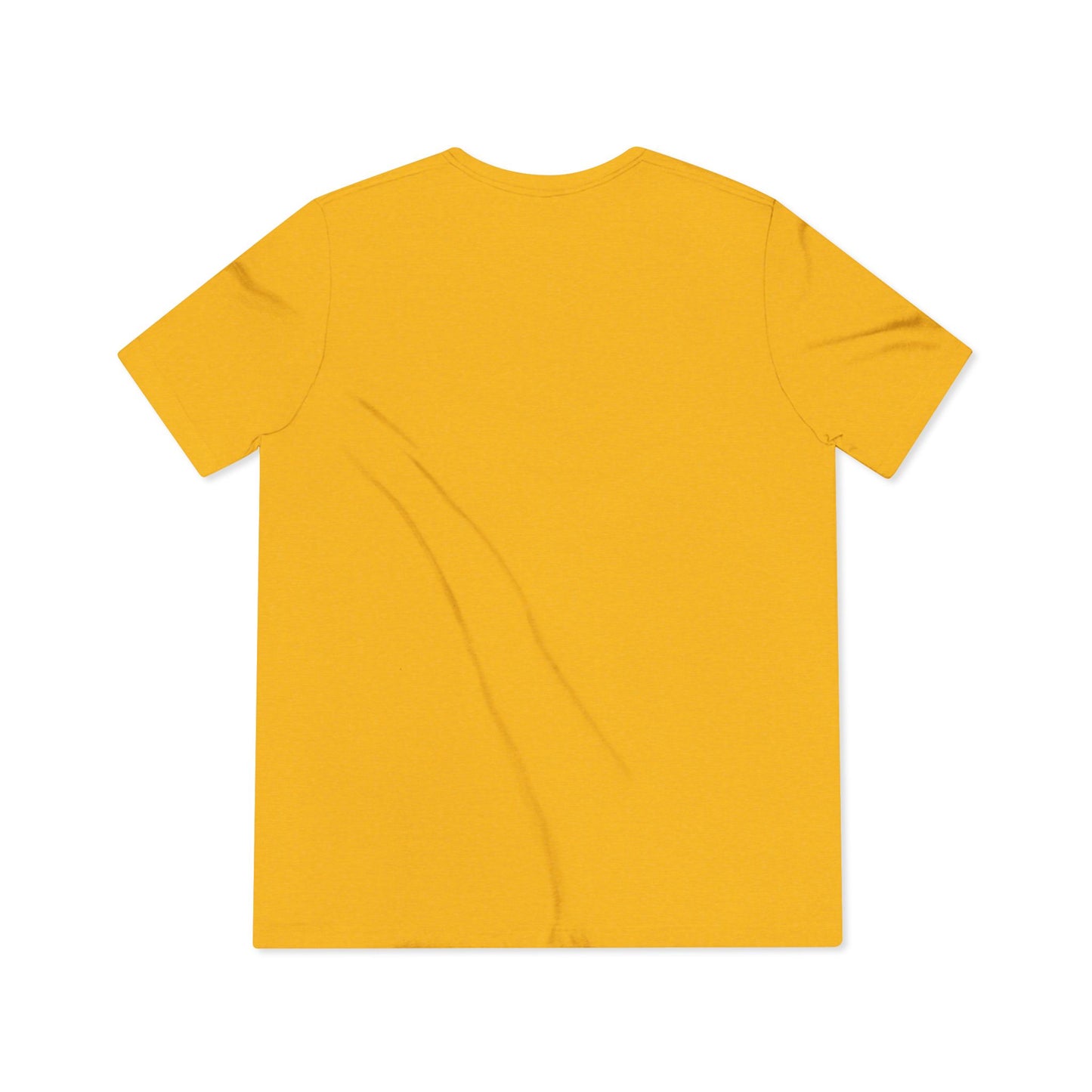 “I Survived… My 1st Intensive” – Unisex Triblend Tee