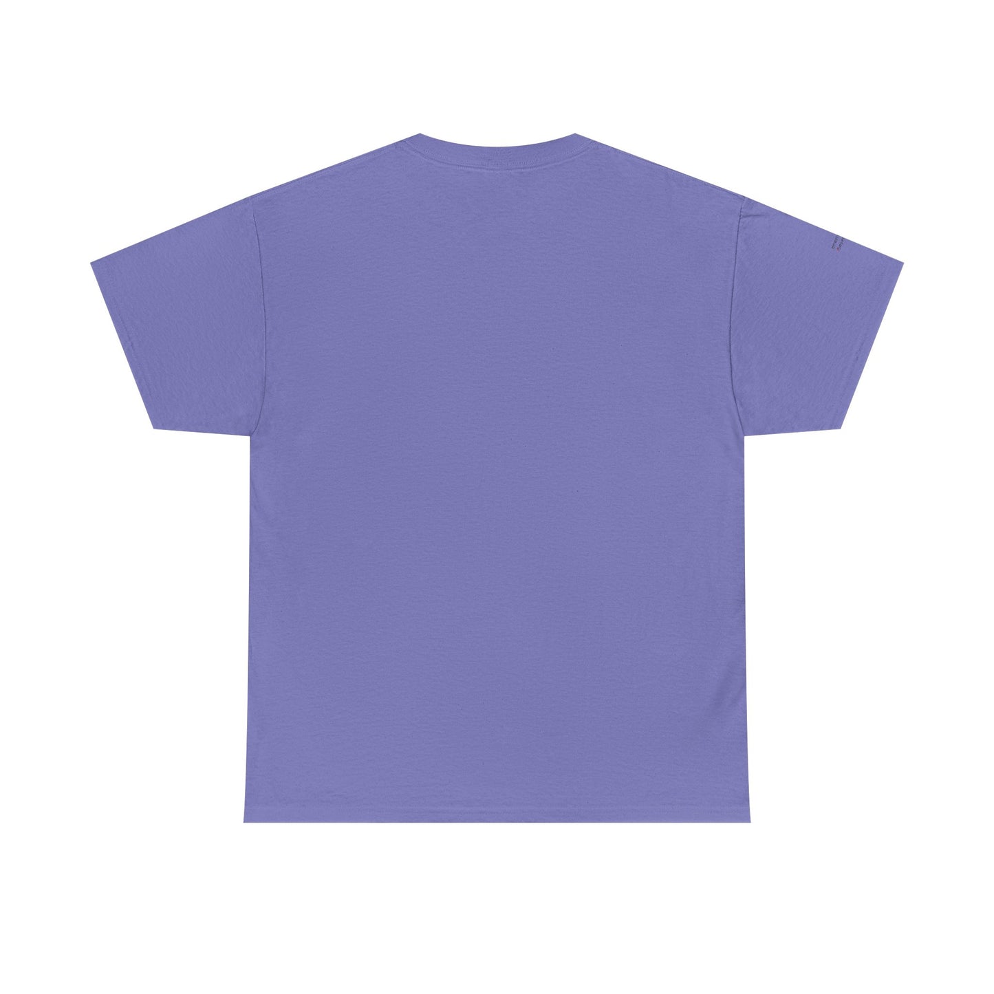 "Messy Middle, Beautiful Outcome" Professional T-Shirt - Safer Steps Recovery & Growth Collection