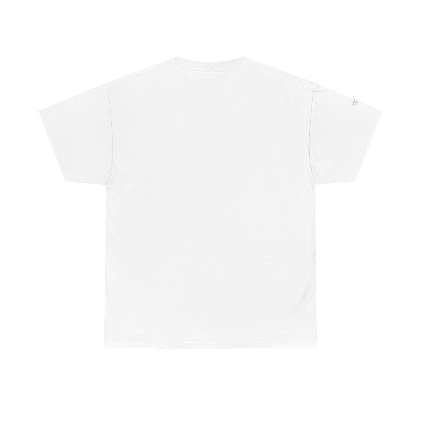 "Messy Middle, Beautiful Outcome" Professional T-Shirt - Safer Steps Recovery & Growth Collection