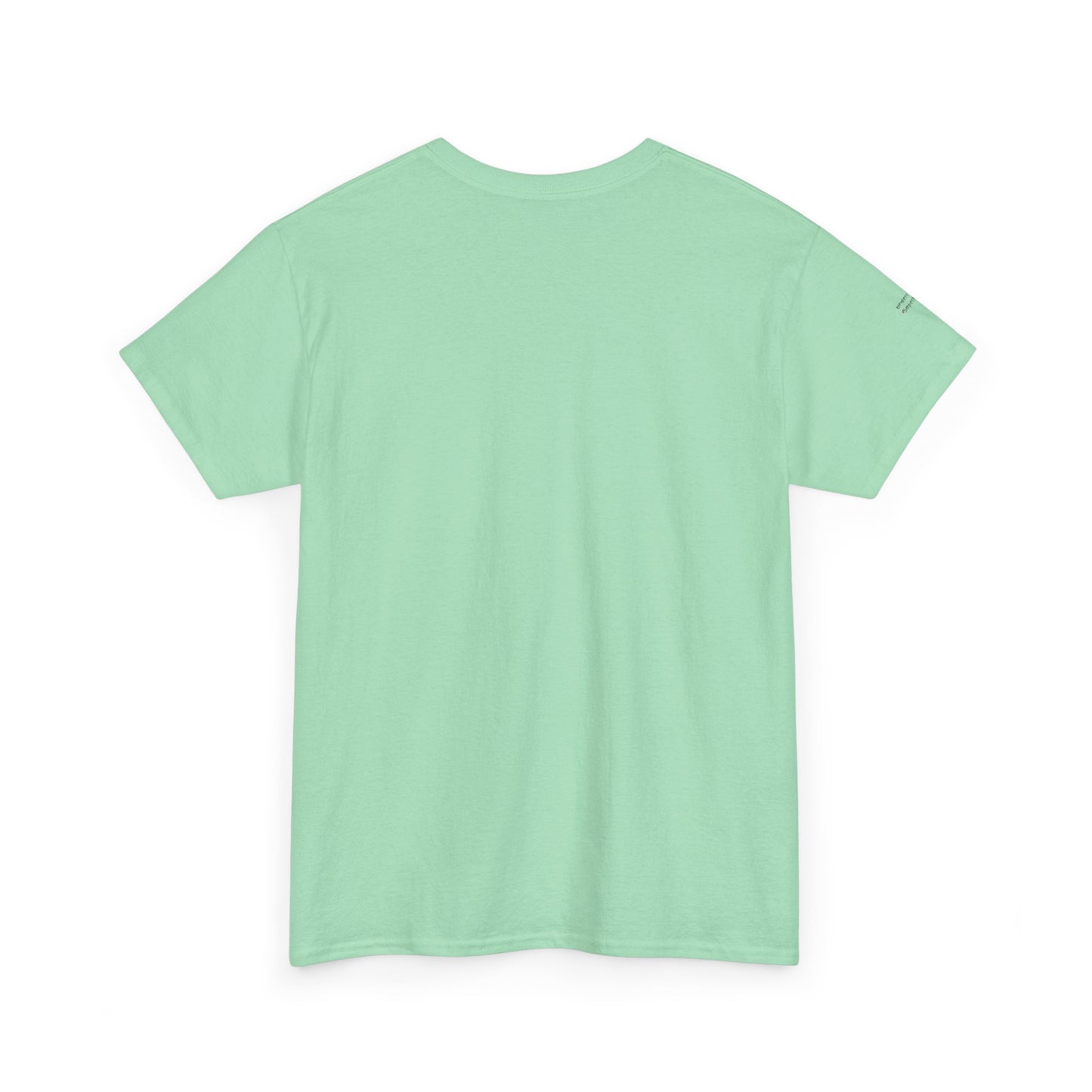 "Messy Middle, Beautiful Outcome" Professional T-Shirt - Safer Steps Recovery & Growth Collection