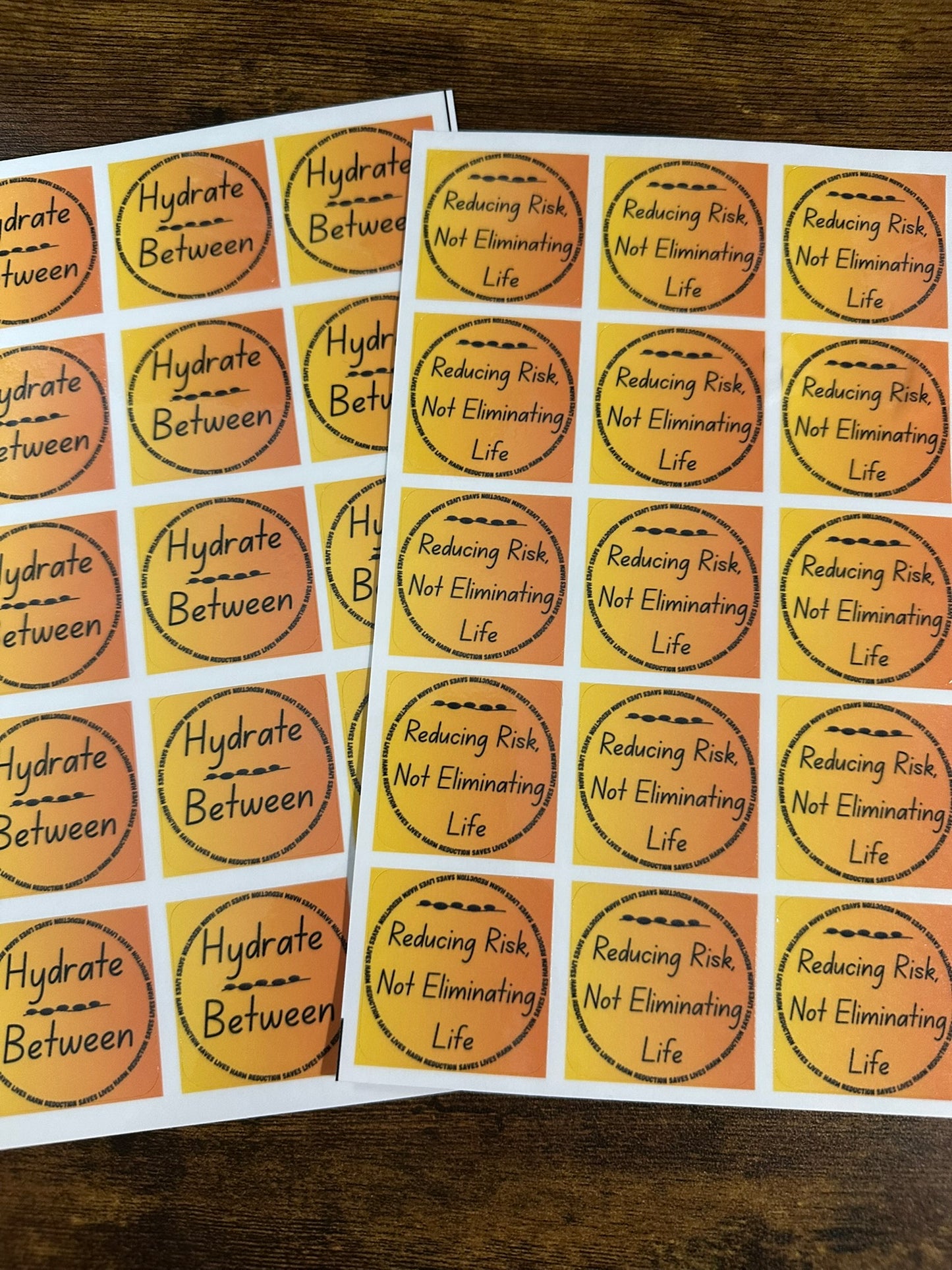 Harm Reduction Sticker Bundle - "Reducing Risk" + "Hydrate Between"