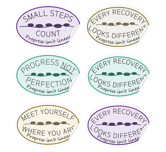 Complete Safer Steps Recovery Collection (6-Pack)
