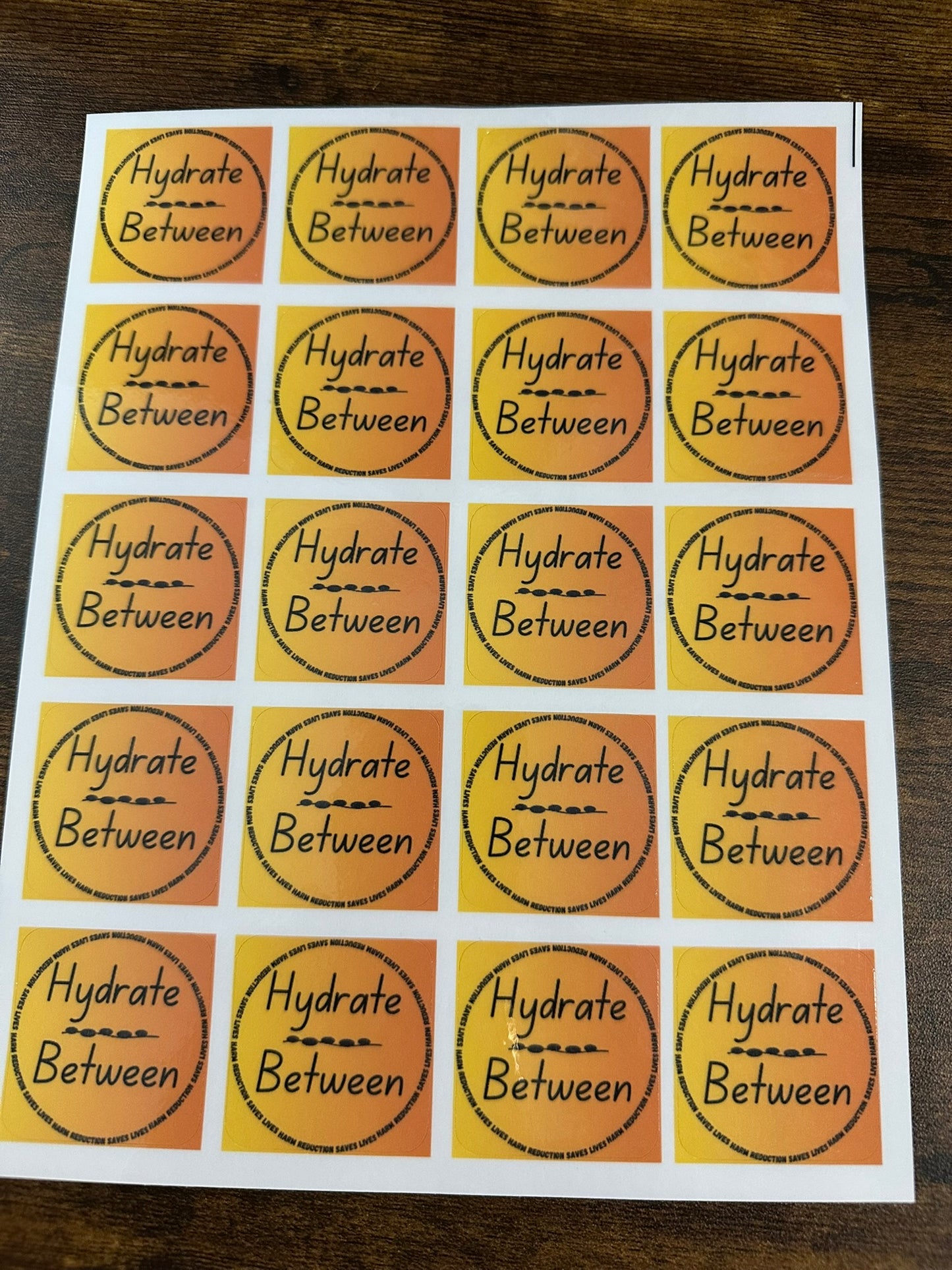 Harm Reduction Sticker Bundle - "Reducing Risk" + "Hydrate Between"