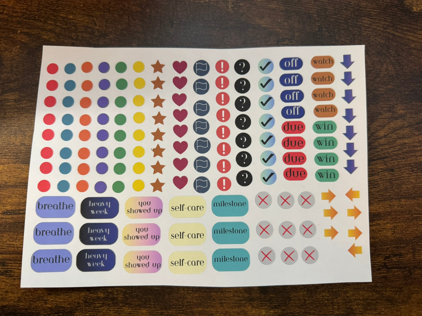 Both Winter 2026 Specialty Kits Bundle — $145