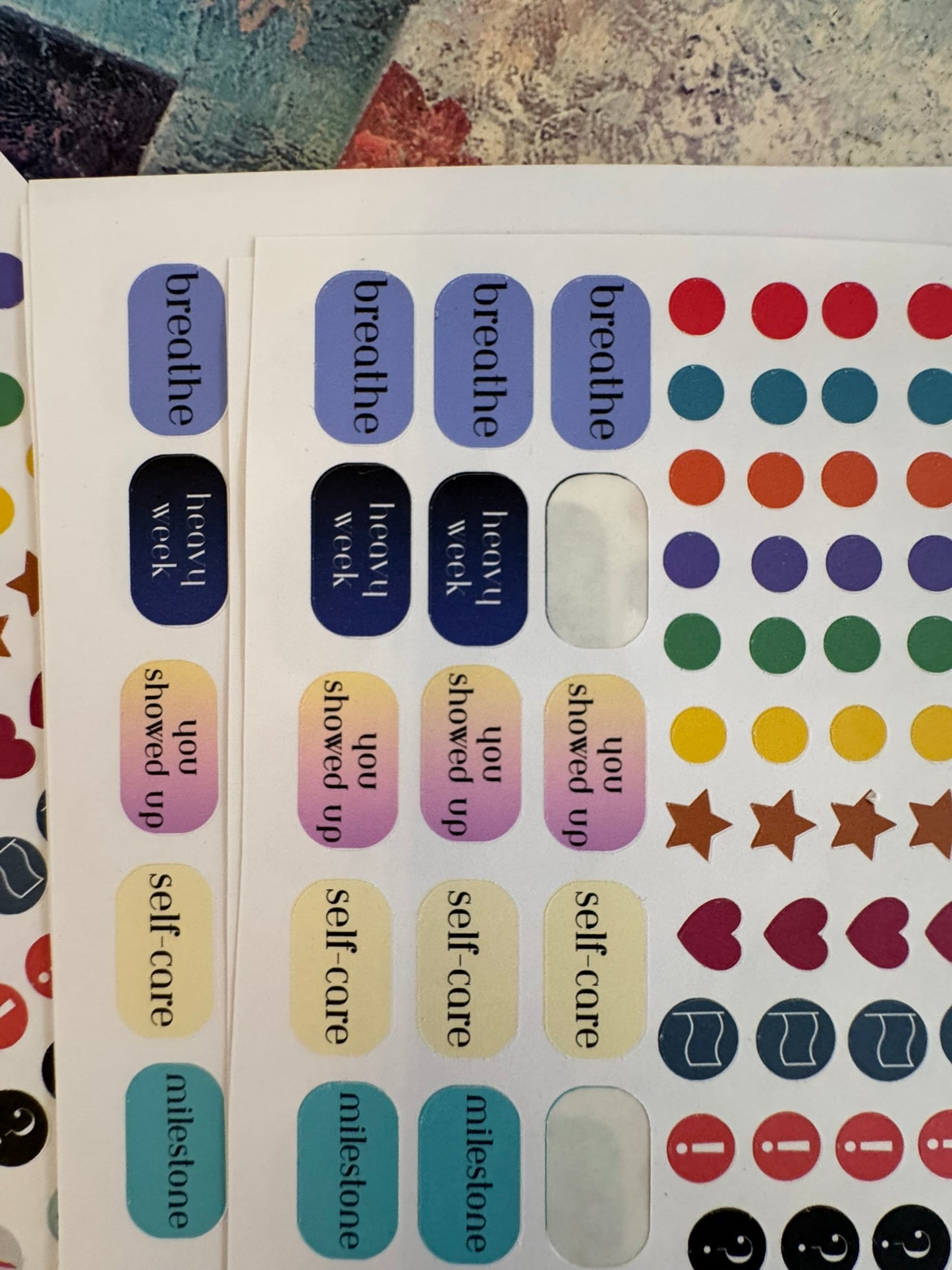 Both Winter 2026 Specialty Kits Bundle — $145